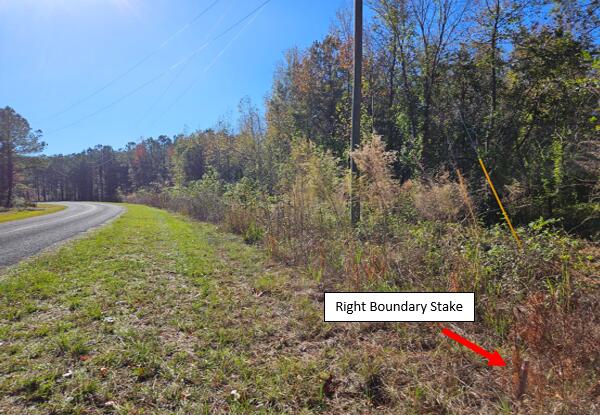 3750 William Brunson Road Summerton, SC 29148 - Photo 8 of 31 FRONT RIGHT BOUNDARY STAKE IS VISIBLE