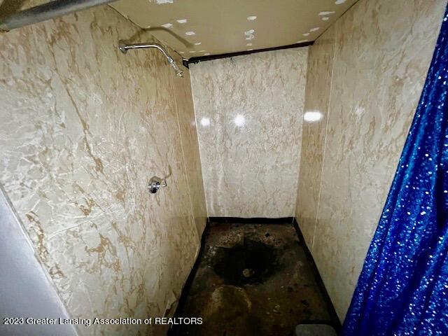 13013 Turner Road Dewitt, MI 48820 - Photo 39 of 44 shower basement