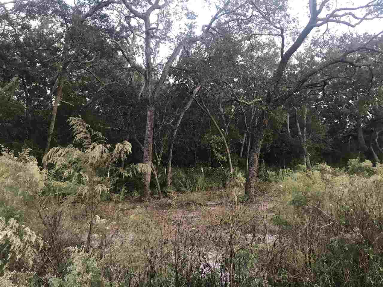 20282 Spoonbill Road Perry, FL 32348 - Photo 4 of 7 Gallery Image 4