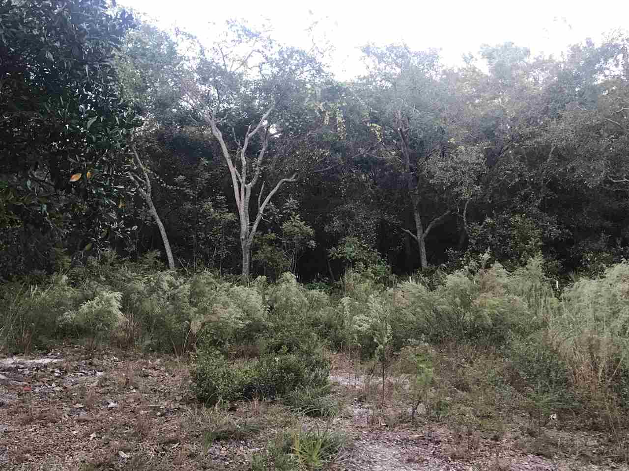 20282 Spoonbill Road Perry, FL 32348 - Photo 5 of 7 Gallery Image 5