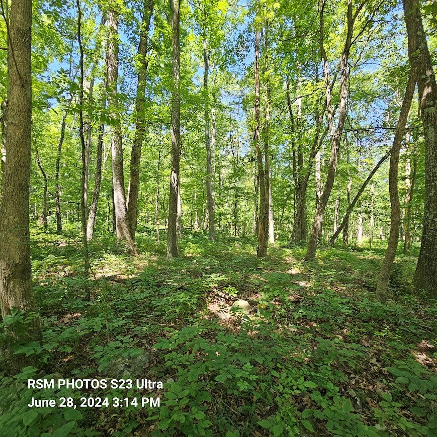 5431-35 Book Road Robertsdale, PA 16674 - Photo 11 of 23 Gallery Image 11