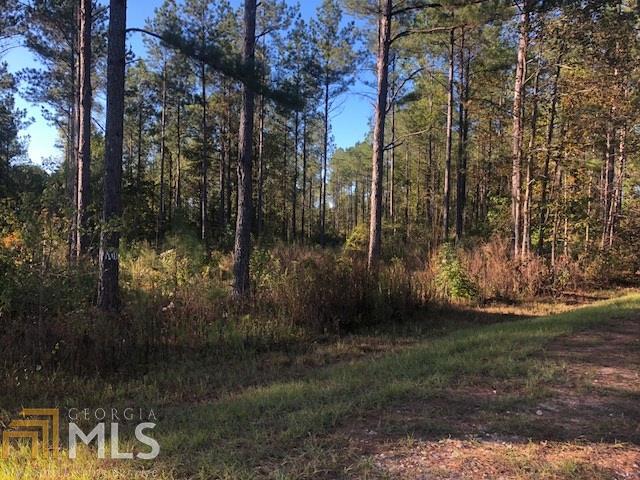 0 Gray Road, Unit 6 Roopville, GA 30170 - Photo 1 of 1
