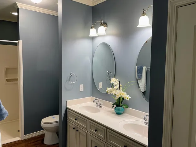a bathroom with a sink vanity and a mirror
