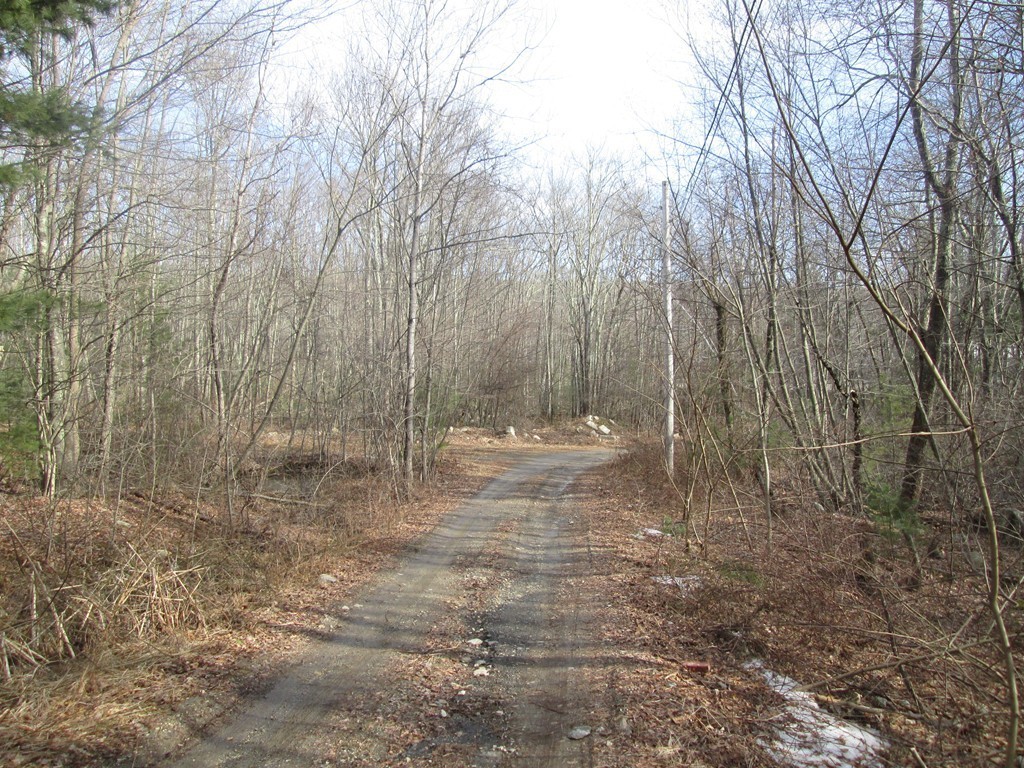 33 Douglas Road Webster, MA 01570 - Photo 7 of 13 a view of a outdoor space