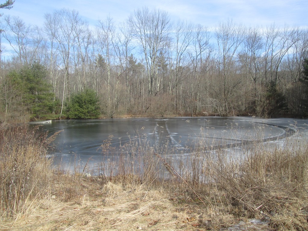 33 Douglas Road Webster, MA 01570 - Photo 8 of 13 a view of a lake view