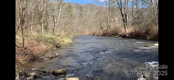 a view of a yard with trees