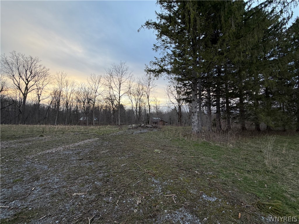 4880 Ransom Road Clarence, NY 14031 - Photo 4 of 15