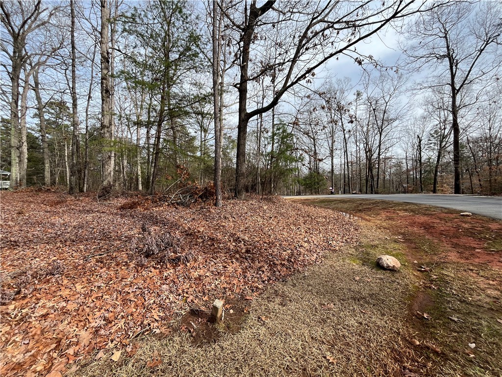 0 Pintail Road Anderson, SC 29626 - Photo 1 of 17 Gallery Image 1