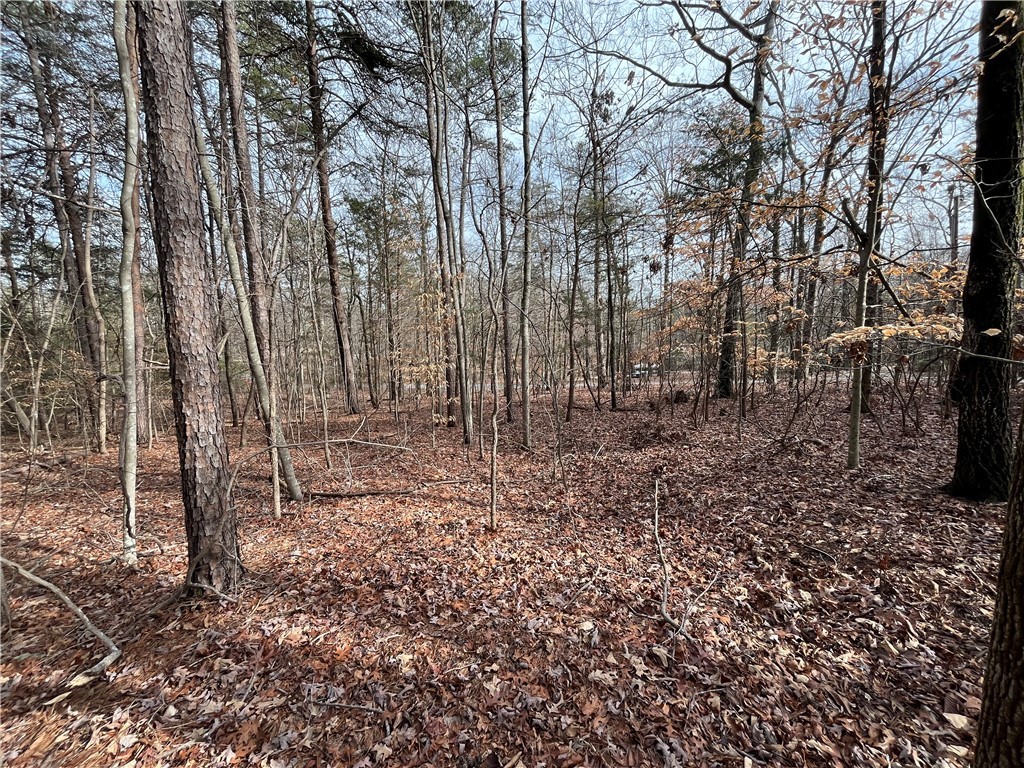 0 Pintail Road Anderson, SC 29626 - Photo 4 of 17 Gallery Image 4