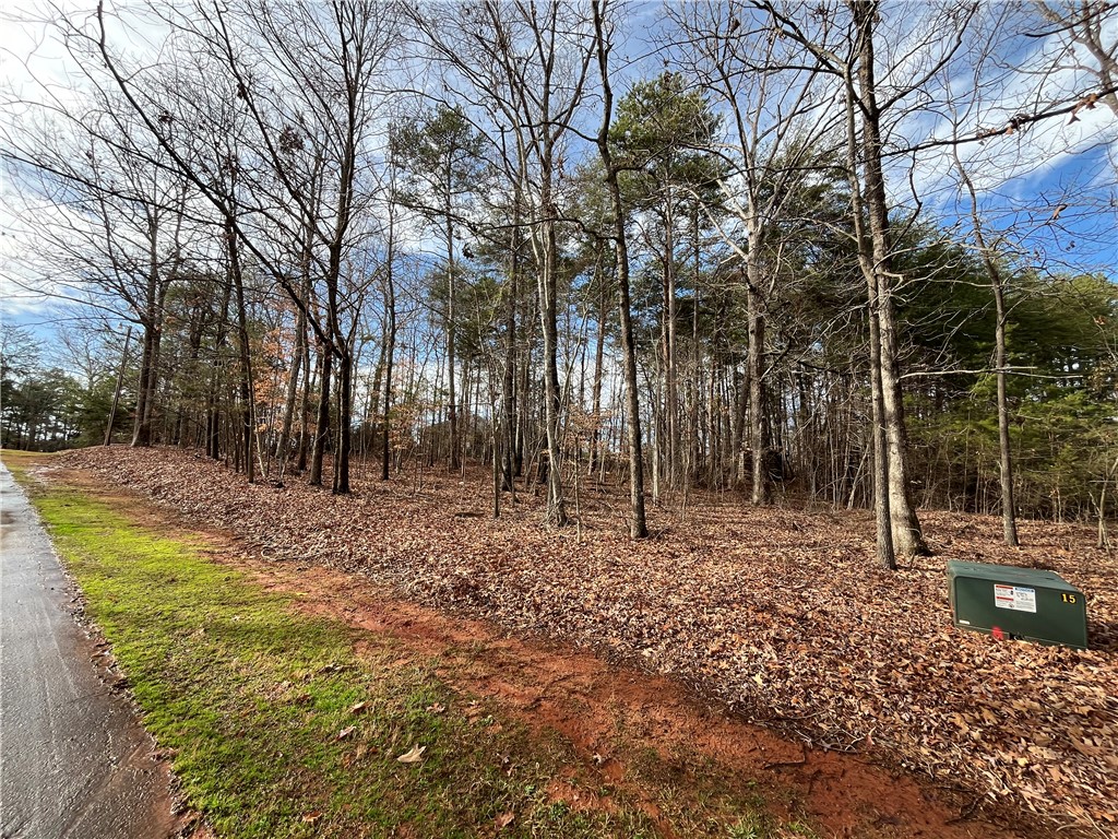 0 Pintail Road Anderson, SC 29626 - Photo 6 of 17 Gallery Image 6