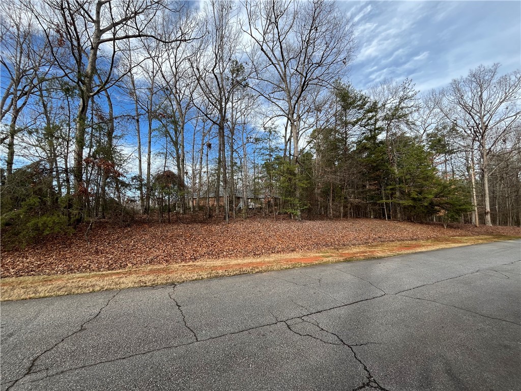 0 Pintail Road Anderson, SC 29626 - Photo 8 of 17 Gallery Image 8