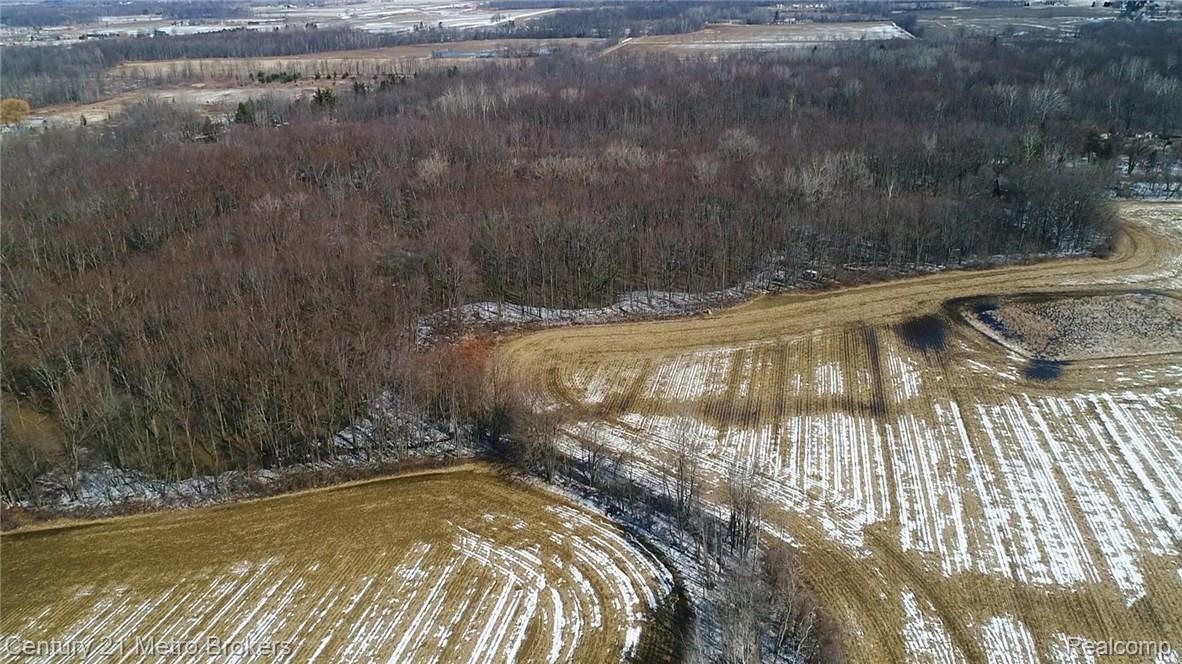 1634 Castle Road North Branch, MI 48461 - Photo 26 of 28 DJI_0004-2-1.jpg