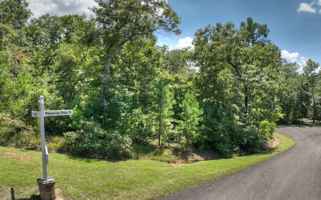 137 Whispering Ridge Court Ellijay, GA 30540 - Photo 3 of 36 Gallery Image 3