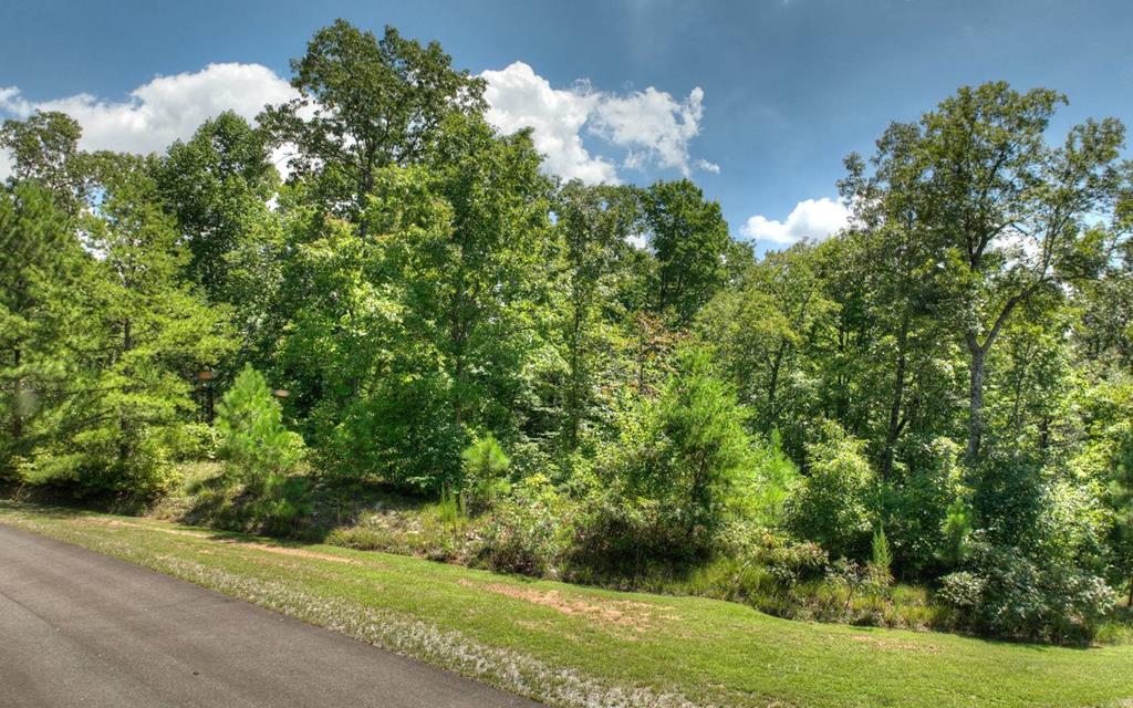 137 Whispering Ridge Court Ellijay, GA 30540 - Photo 33 of 36 Gallery Image 33