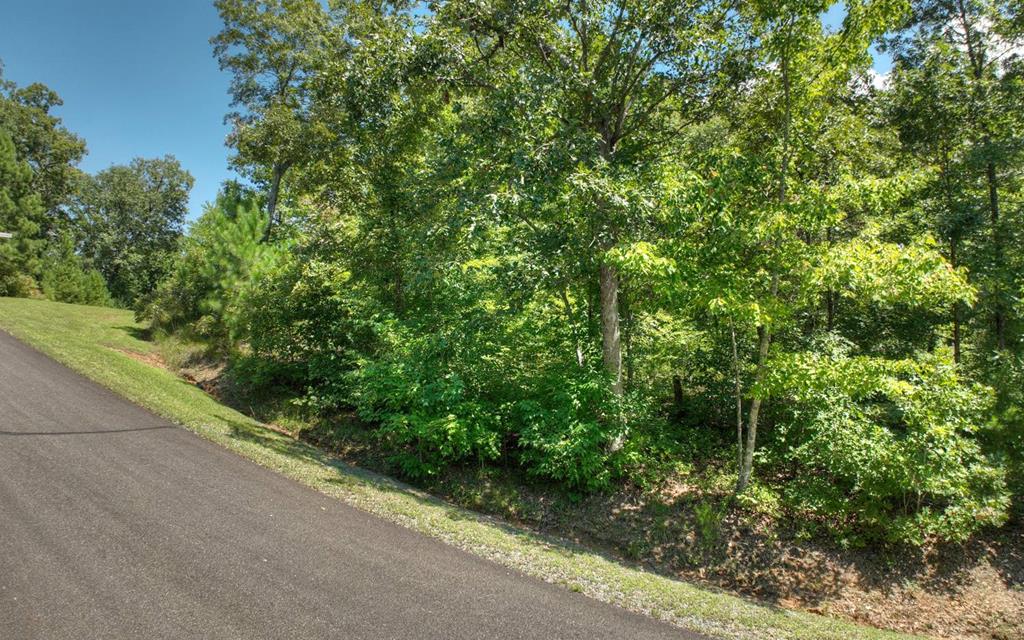 137 Whispering Ridge Court Ellijay, GA 30540 - Photo 34 of 36 Gallery Image 34