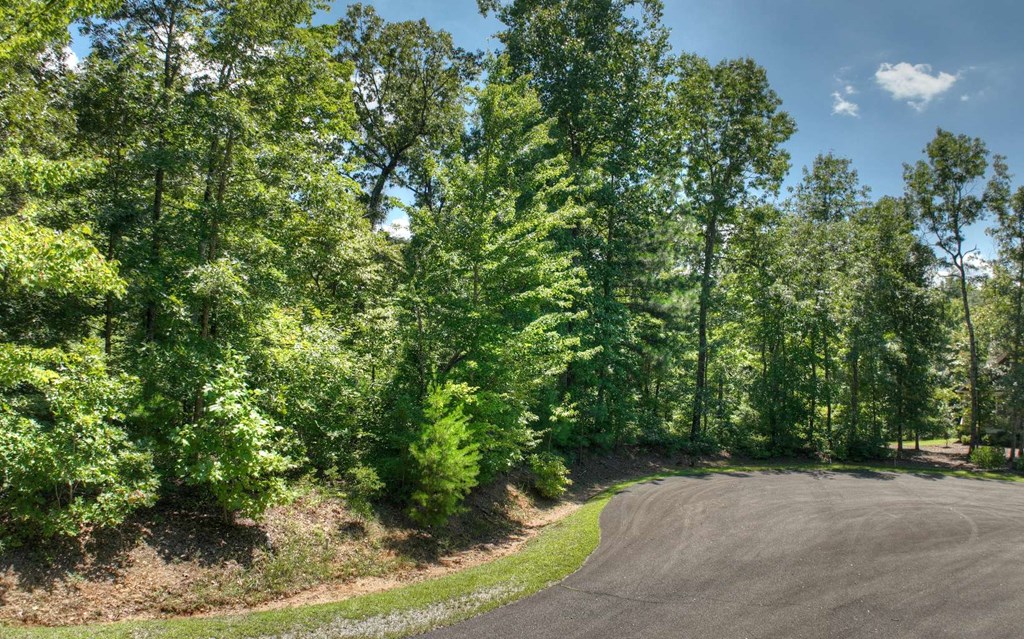 137 Whispering Ridge Court Ellijay, GA 30540 - Photo 4 of 36 Gallery Image 4