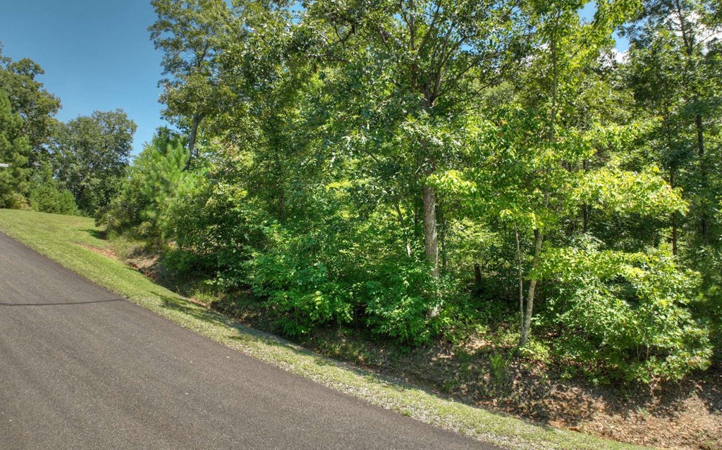 137 Whispering Ridge Court Ellijay, GA 30540 - Photo 5 of 36 Gallery Image 5