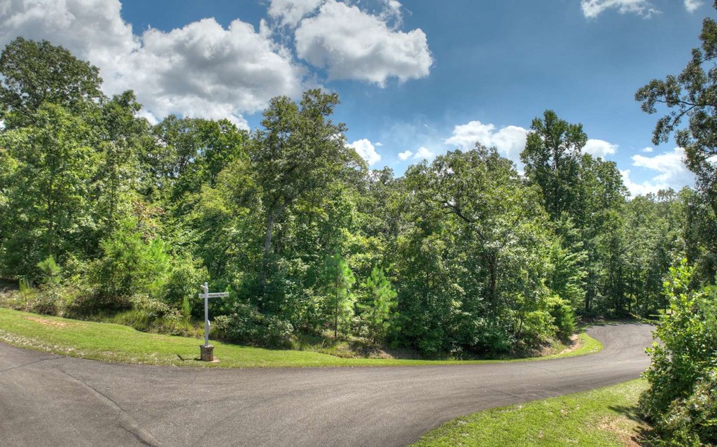 137 Whispering Ridge Court Ellijay, GA 30540 - Photo 6 of 36 Gallery Image 6