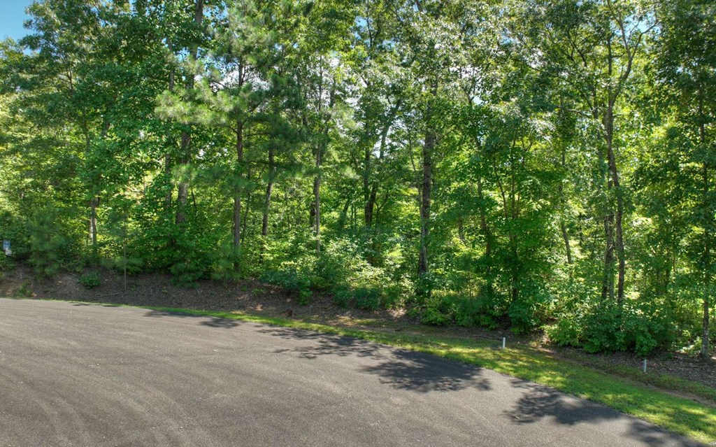 137 Whispering Ridge Court Ellijay, GA 30540 - Photo 7 of 36 Gallery Image 7