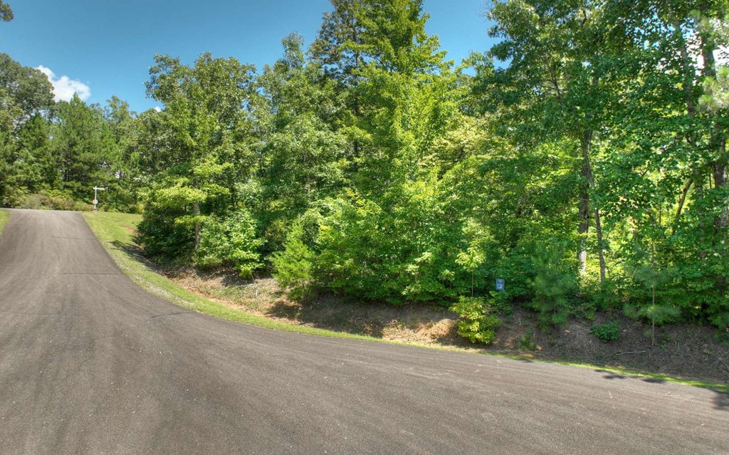 137 Whispering Ridge Court Ellijay, GA 30540 - Photo 8 of 36 Gallery Image 8