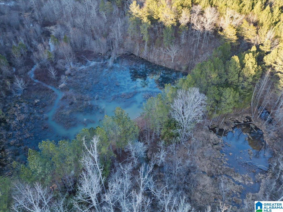 0 Smith Road Boaz, AL 35957 - Photo 7 of 27 Gallery Image 7