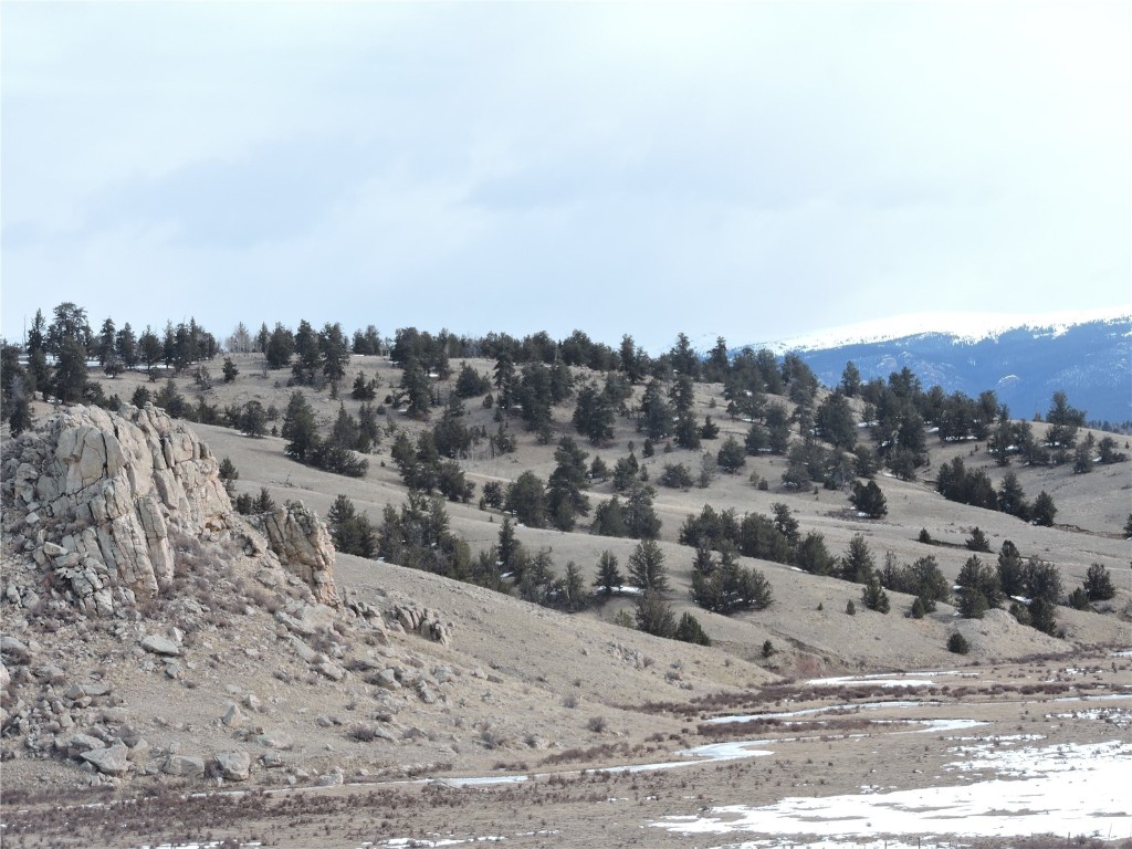 2017 Travois Road Jefferson, CO 80456 - Photo 2 of 14 a view of a dry yard