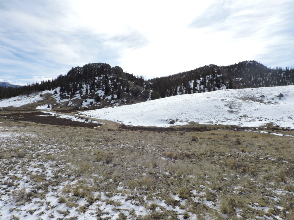 2017 Travois Road Jefferson, CO 80456 - Photo 3 of 14 a view of a dry yard with mountain and trees