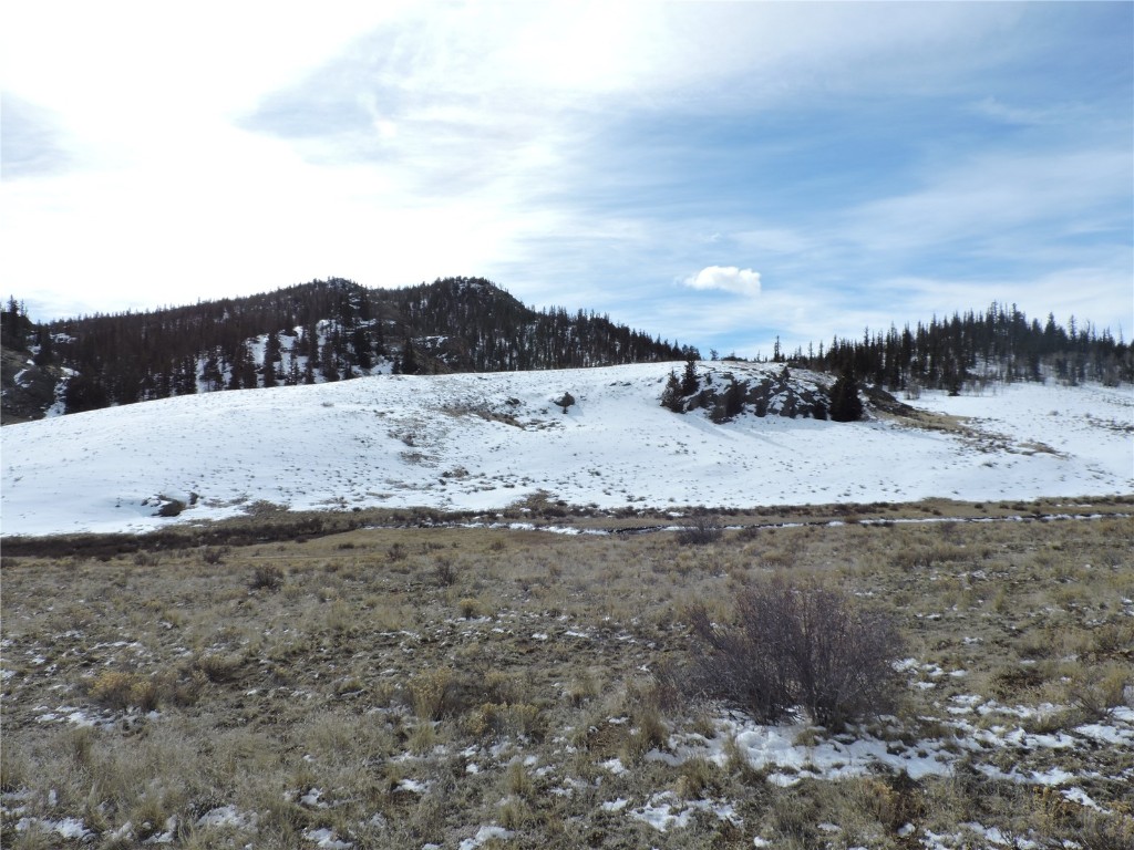 2017 Travois Road Jefferson, CO 80456 - Photo 10 of 14