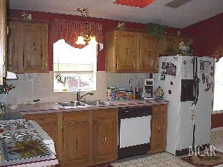 15776 Cone Road Maybee, MI 48159 - Photo 3 of 20 930549-2.JPG