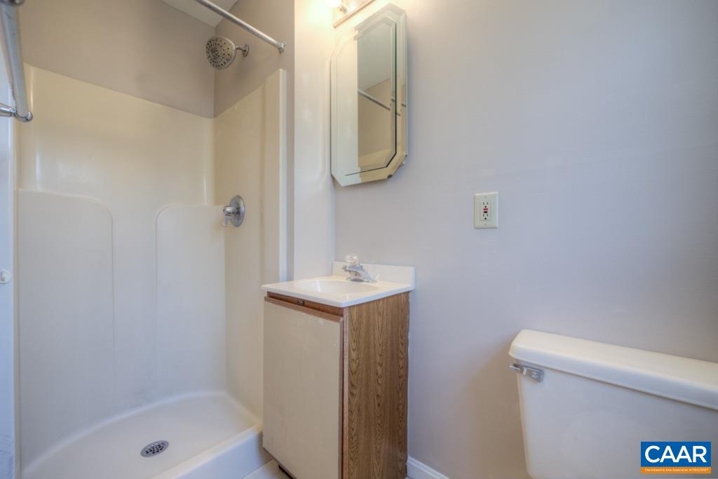 59 Narcissus Road Ruckersville, VA 22968 - Photo 17 of 35 a bathroom with a sink a toilet and shower