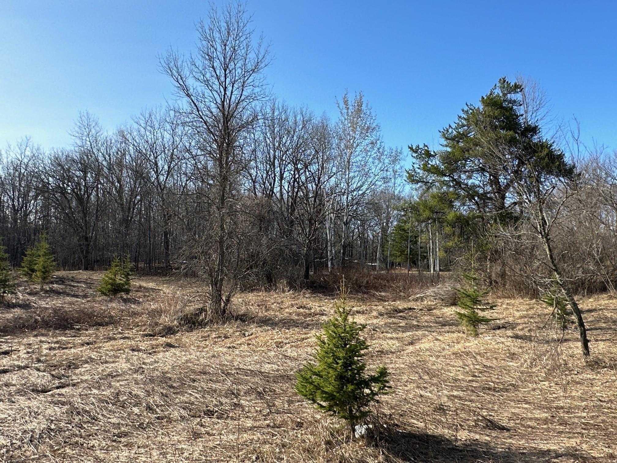 Xx Tamarac Road Onamia, MN 56359 - Photo 1 of 1 Gallery Image 1