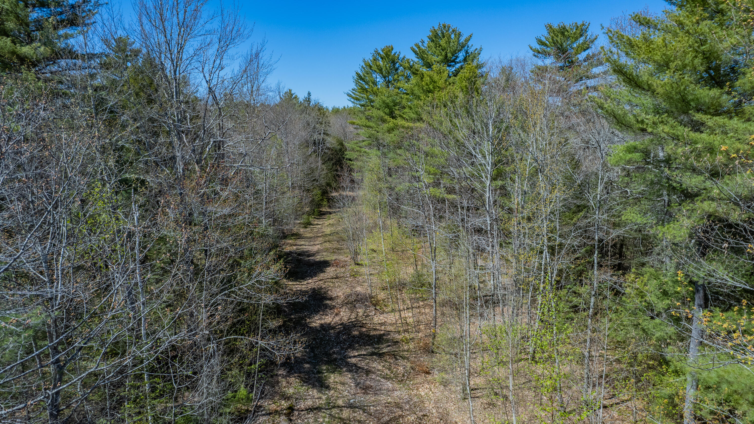 Lot 44 Old Stage Road Woolwich, ME 04579 - Photo 13 of 31 Lot 44 Old Stage Road 41
