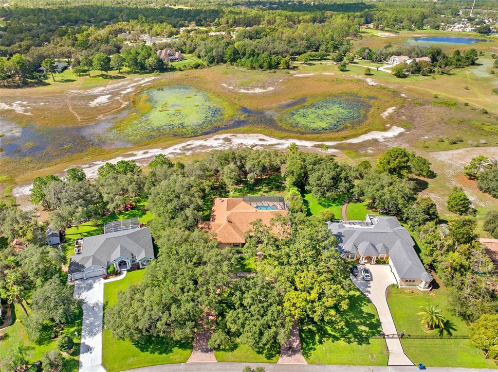 10430 Ramble Ridge Court Weeki Wachee, FL 34613 - Photo 15 of 84 Gallery Image 15