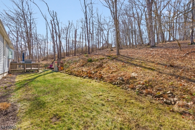 10 Ironia Road Mendham, NJ 07945 - Photo 7 of 32