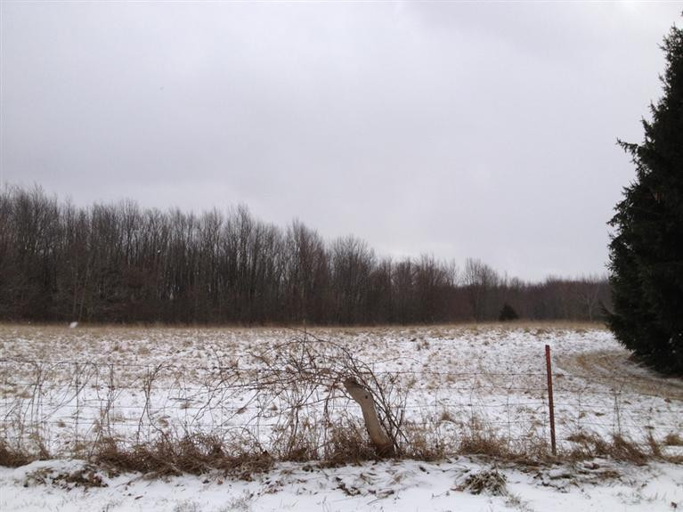 0 Waters Road Chelsea, MI 48118 - Photo 1 of 2 Photo 1