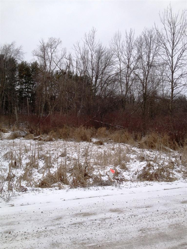 0 Waters Road Chelsea, MI 48118 - Photo 2 of 2 Photo 2