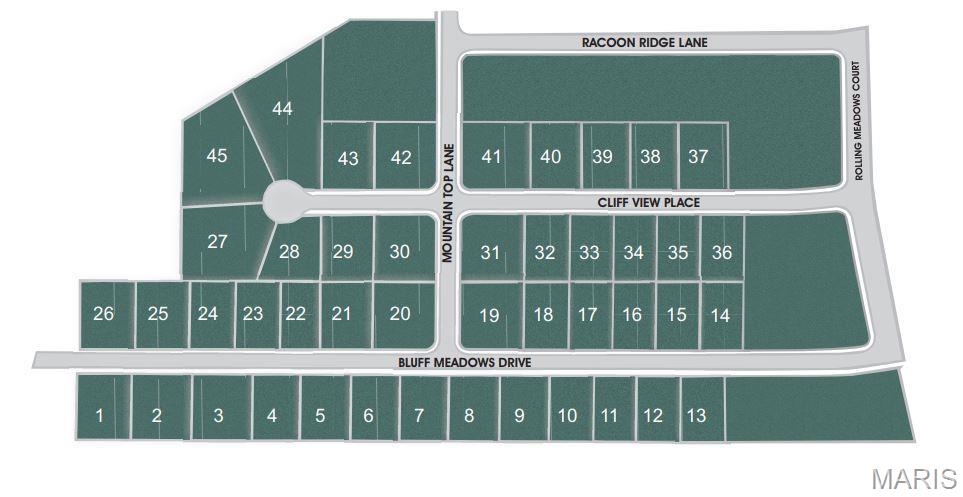 501 Bluff Meadows Drive Valmeyer, IL 62295 - Photo 2 of 5