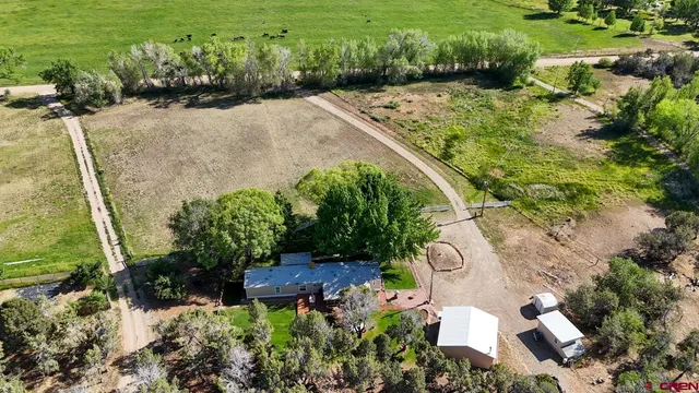 a view of a garden with a pathway