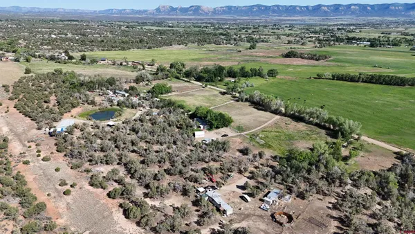 an aerial view of green landscape with trees houses and mountain view