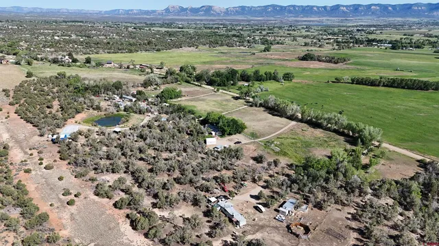 an aerial view of green landscape with trees houses and mountain view