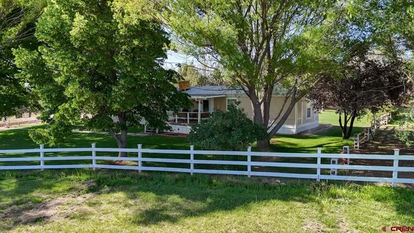 a view of a garden with a bench in the park