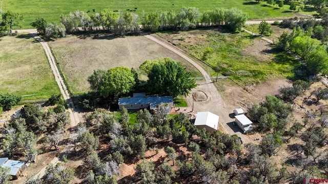 a view of a garden with lawn chairs