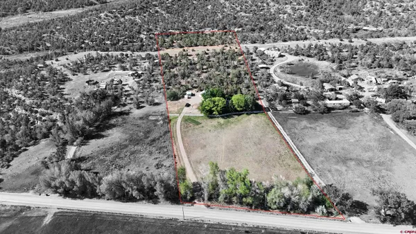 an aerial view of a house with a yard and large tree