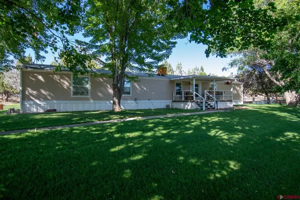 a view of a park with large trees