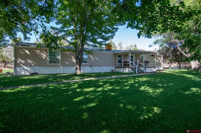 a view of a park with large trees