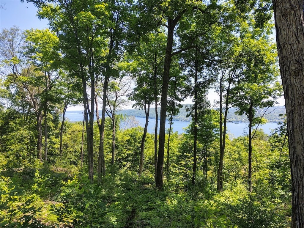 0 State Rte 21 Road Naples, NY 14512 - Photo 1 of 1 Gallery Image 1