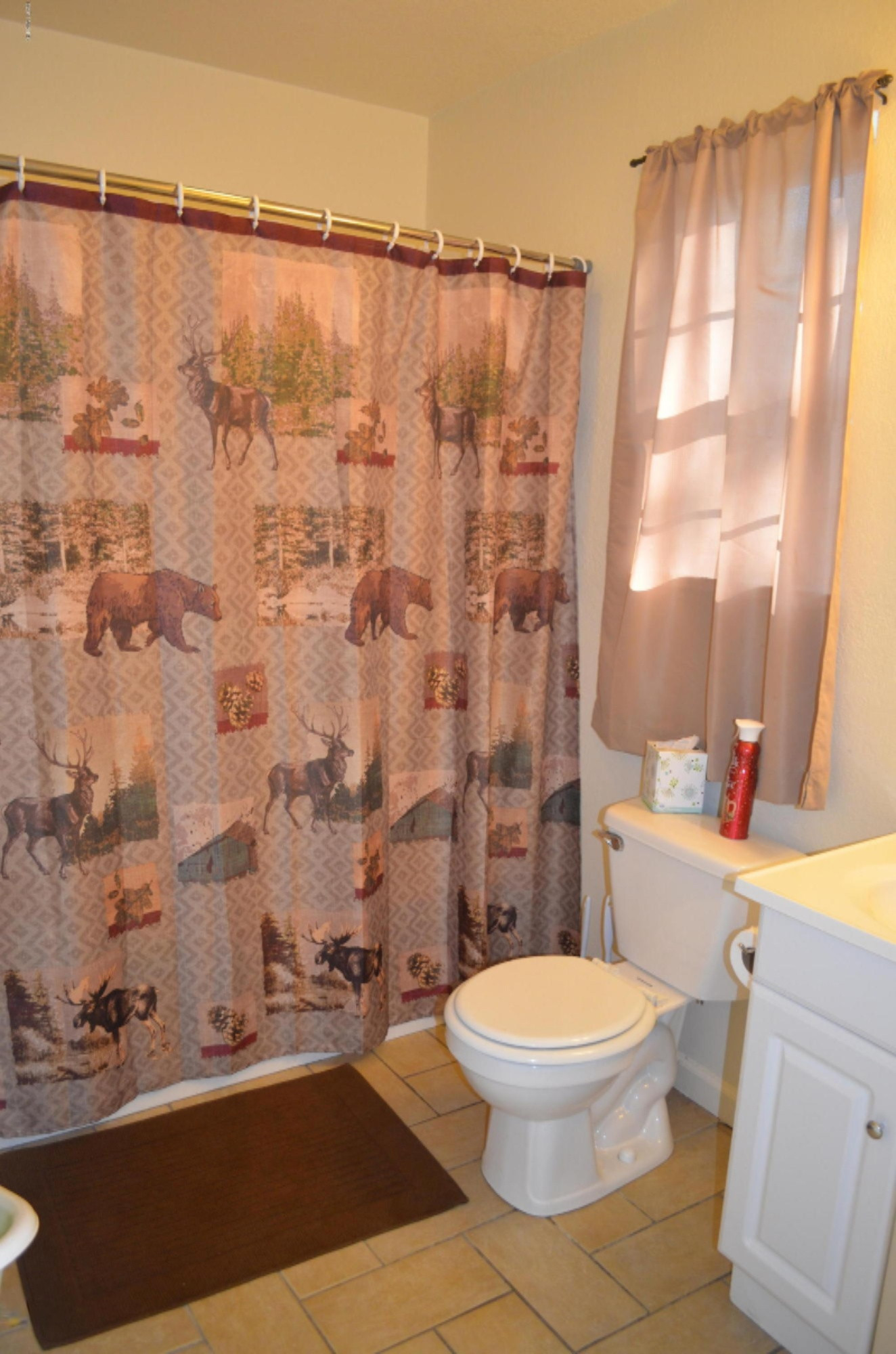 546 Maple Street Colon, MI 49040 - Photo 30 of 50 DSC_0618
