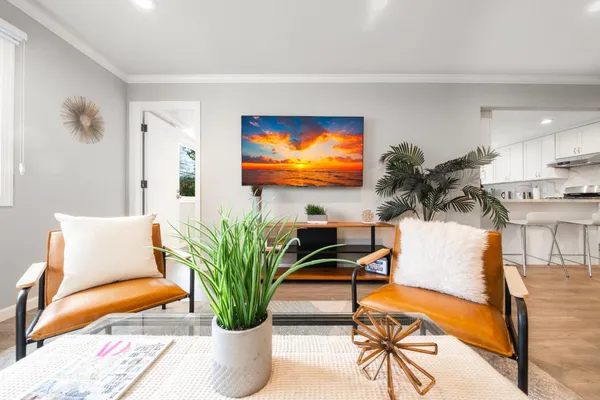 a living room with furniture potted plant and a flat screen tv