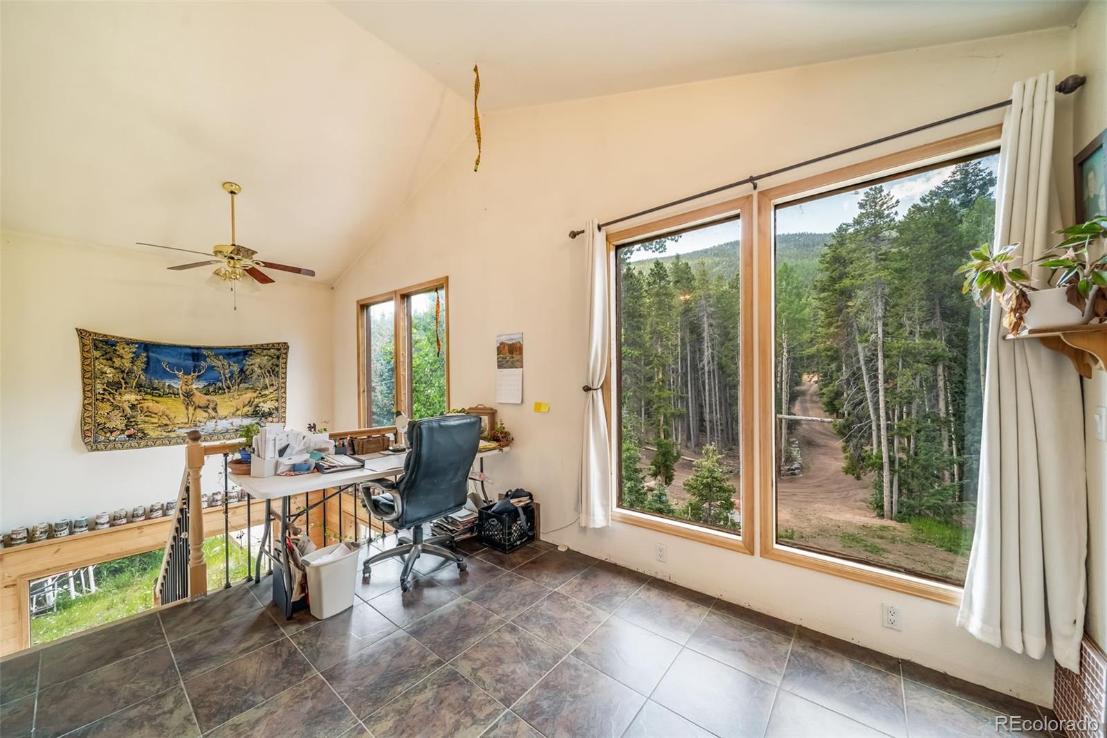 8774 Spring Drive Conifer, CO 80433 - Photo 16 of 45
