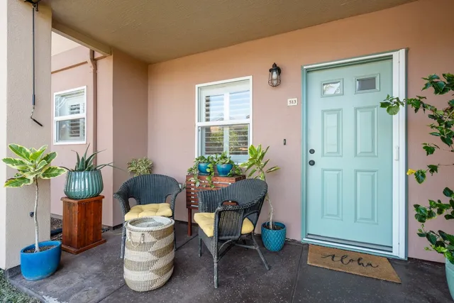 a room with furniture and potted plant